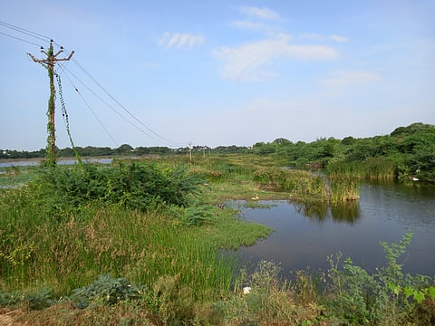 Kottapattu Periyakulam was developed into a recreational spot in September last year 