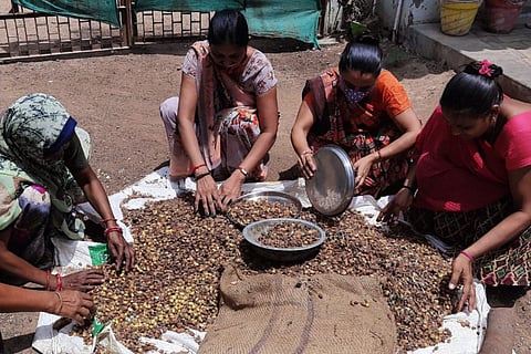 Strides in self-reliance