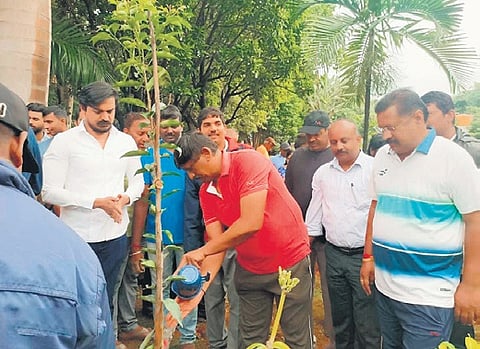 An official said all saplings were bar coded, and the drive was conducted transparently.