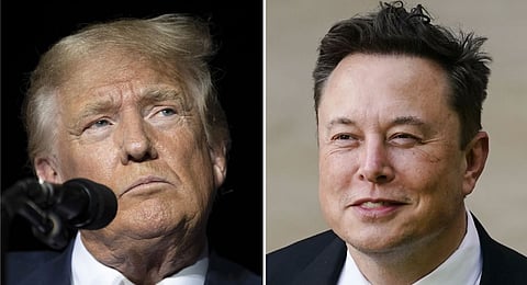 Donald Trump and Elon Musk
