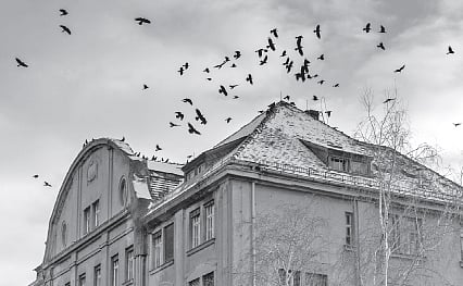 Dying Art of Horror Movies