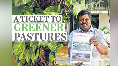 Yoganathan (59), who is posted in Upplipalayam TNSTC branch, has planted more than five lakh saplings across Tamil Nadu all by himself in the last 38 years.