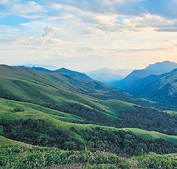 The net value of Karnataka’s forest ecosystem is worth Rs 49 lakh crore