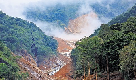 An infant being rescued by the National Disaster Relief Force team from the landslide-affected Mundakkai in Wayanad.