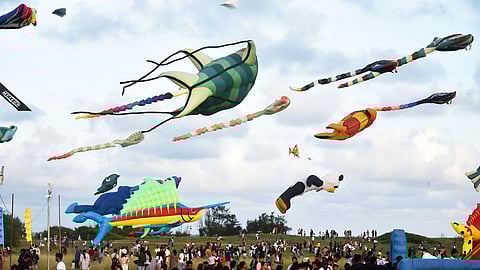 IN PICS | Tamil Nadu International Kite Festival 2024: A Kaleidoscope of flying colours