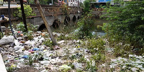 Waste strewn on banks of Uyyakondan canal near E R Road in Tiruchy