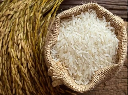 Indian basmati exporters reject US charge of 'dumping', demand strong response from Centre