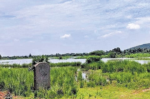 A view of a water body near proposed mining on Pedda Konda.
