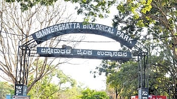 Bannerghatta Zoo, Bengaluru