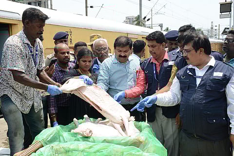 State Food Safety Department officials seize stale meat brought in by train from Jaipur. The raid was conducted at the Egmore Railway Station after a tip off.