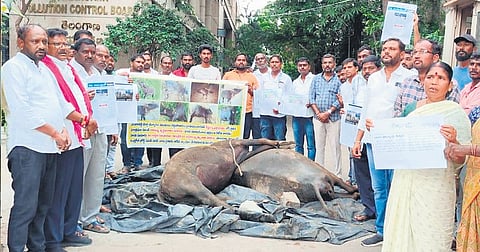 Farmers stage dharna in front of the Pollution Control Board office in Hyderabad, claiming that their cattle died after drinking water contaminated by industries