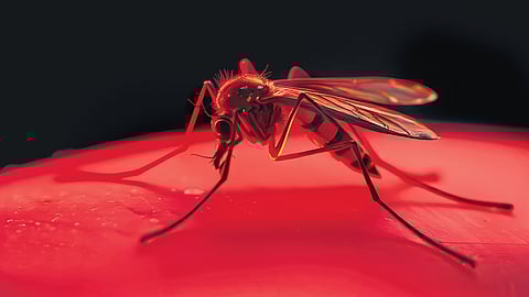 Delhi reports first dengue death of the year as cases surge