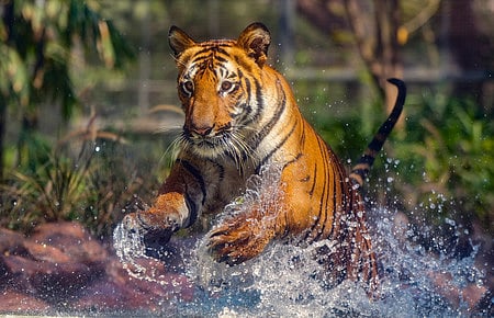 Image used for representational purposes.