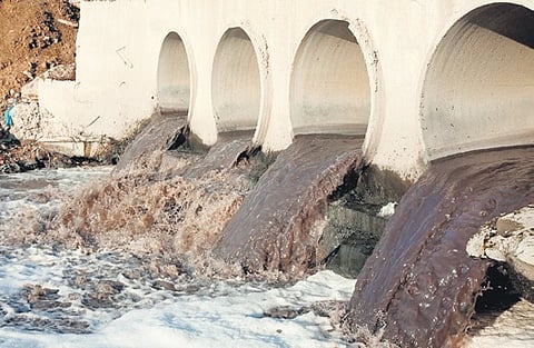 NGT pulls up Mann government, fines Rs 1K cr for failing to manage waste in Punjab
