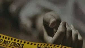 Image used for representational purpose.