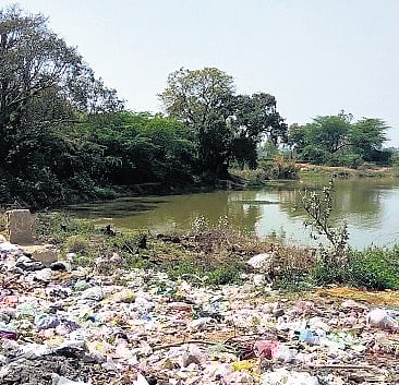 Garbages dumped in Arya Nagar pond
