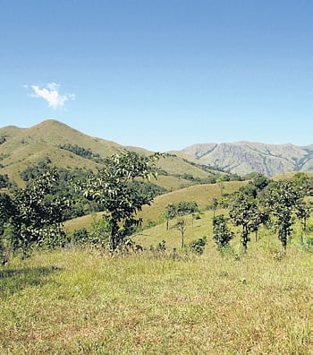 There are 1,533 homes, villages, and other residential habitats in the area mentioned by Kasturirangan report.