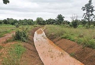 A portion of Indravati's right canal extension filled with water