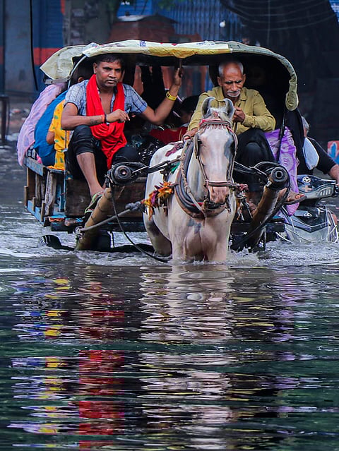 IN PICS | Gujarat rains: Parts of Vadodara city remain flooded