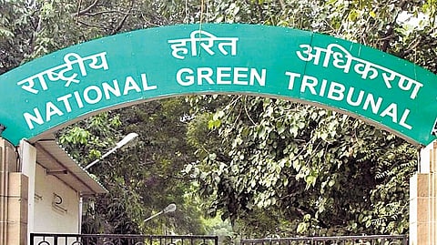 Groundwater contamination in Dwarka: NGT seeks DJB report