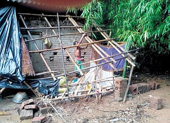 The house of Makara Singh was damaged by the elephant herd 