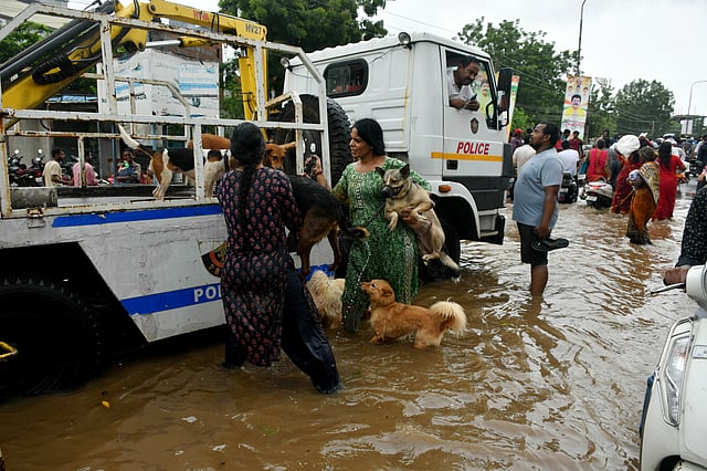 Andhra Pradesh rains, Vijayawada rains