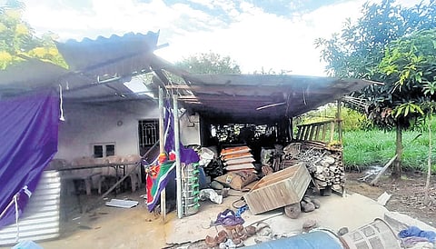 The wild elephant took away 50 kgs of cattle feed after damaging banana, maize crops at a farmland in Varapalayam near Chinnathadagam on Sunday