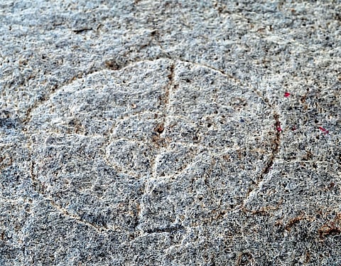 The wide variety of board games that have been a part of our board game tradition has completely vanished