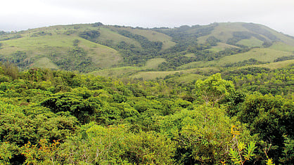 Representative image.