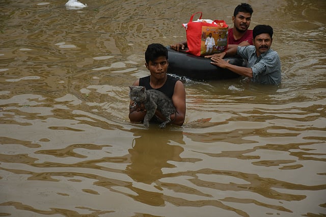Pet lovers carefully shift their cat as they wade through flood water at Sitara centre in Vijayawada.