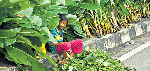 A kid seen selling pooja materials on the eve of Ganesh Chaturthi at Ibrahimpatnam on Friday 