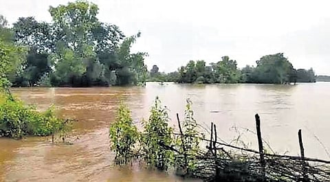 A marooned Digapur panchayat from where 50 families were shifted to safer places 