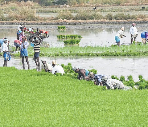 I-T freezes bank accounts of Tamil Nadu agri societies