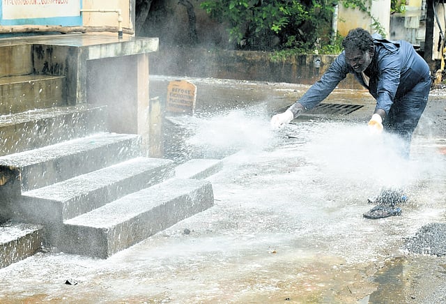 A sanitation worker sprinkling bleaching powder.