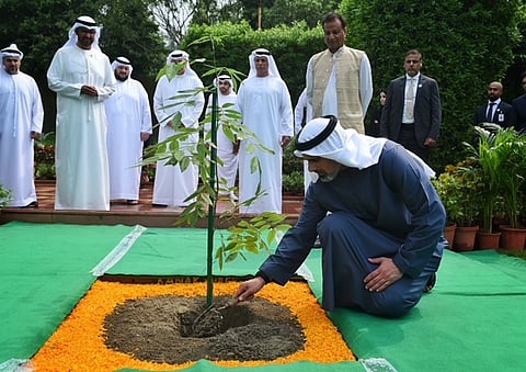 Sheikh Khaled bin Mohamed bin Zayed Al Nahyan planted a sapling in keeping with the tradition of his family (Photo | Special arrangement)
