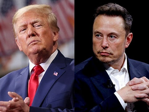 Apple CEO Tim Cook  (L) Donald Trump