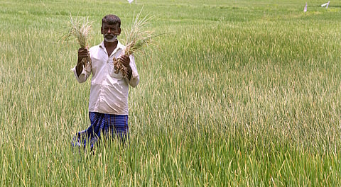 Crop insurance delay: Farmers to stage rail roko 