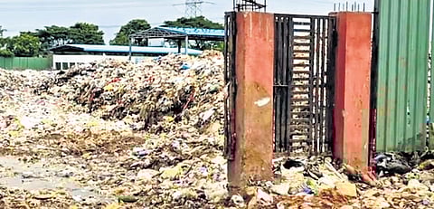 Telangana: Water polluted by dump yard proves bane of farmers