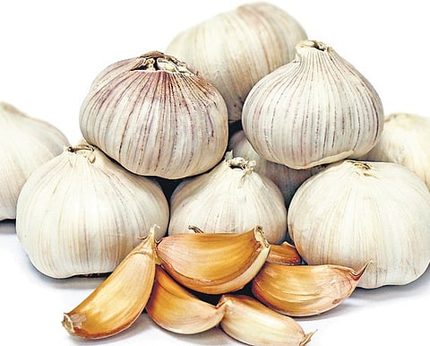 Chinese garlic, banned for pesticide content, flooding TN markets