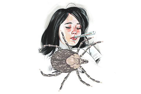 Image used for representation