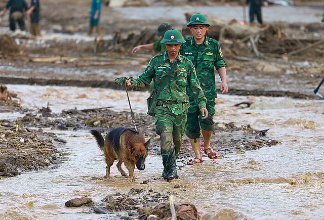 Vietnam typhoon, Yagi