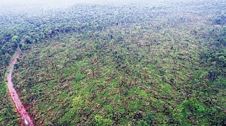 CM Revanth Reddy pegs flood loss at Rs 10K crore, wants disaster norms eased