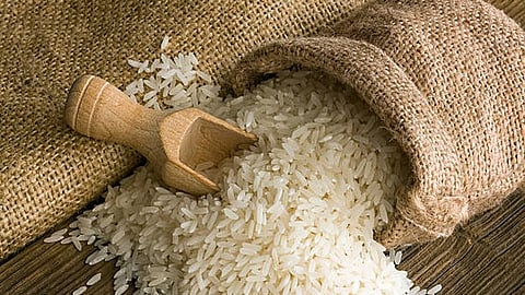 Geopolitical concerns spark fears of decline in Basmati cultivation in Punjab