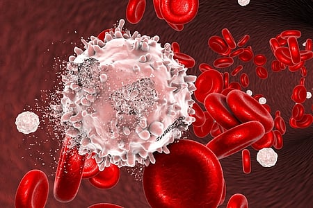 Destruction of leukaemia cell, conceptual image. 3D illustration which can be used to illustrate blood cancer treatment