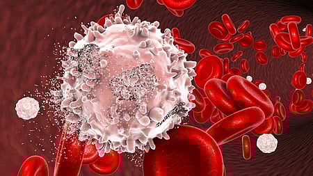 Image of white blood cell used for representational purposes only.