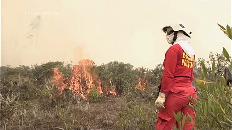 Peru's National Forest and Wildlife Service, SERFOR, indicated that the effects of climate change intensify the conditions that facilitate the spread of fire.