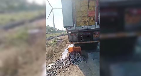 Kerala trucks discharge fish waste on Pollachi roads