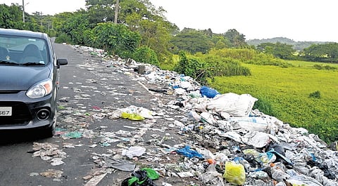 Waste dumped on the sides of NAD Road at Kalamassery, causing inconvenience 
to the public 