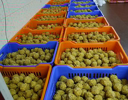 Image of laddu prasadam at Srikalahasti temple used for representative purposes