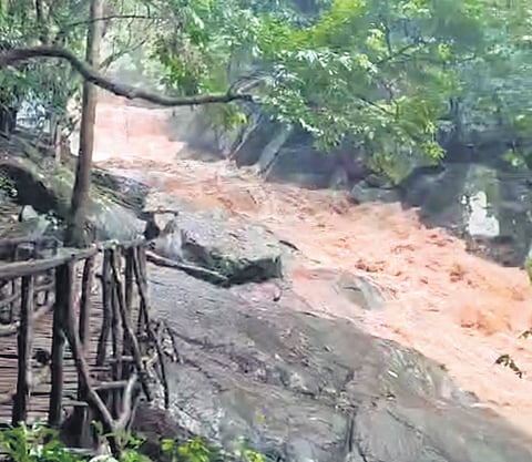 Three medicos drowned in Jalatarangini stream in Maredumilli 